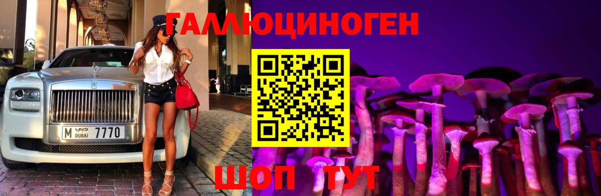 Галлюциногенные грибы Cubensis Псков